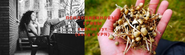 дмт Кинешма