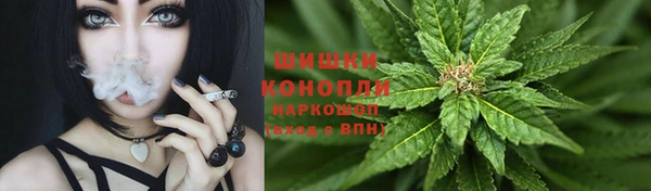 гидра Киреевск