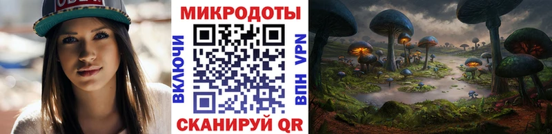 OMG ССЫЛКА  Краснослободск  Псилоцибиновые грибы Magic Shrooms  дарнет шоп 