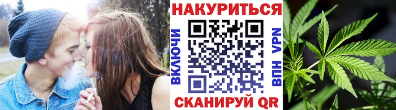 где можно купить   Краснослободск  Конопля гибрид 